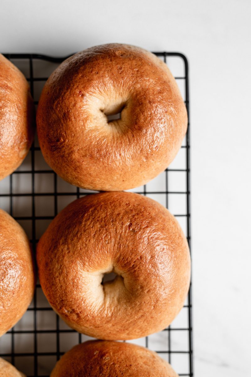 fresh homemade bagels