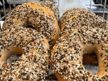 fresh bagels