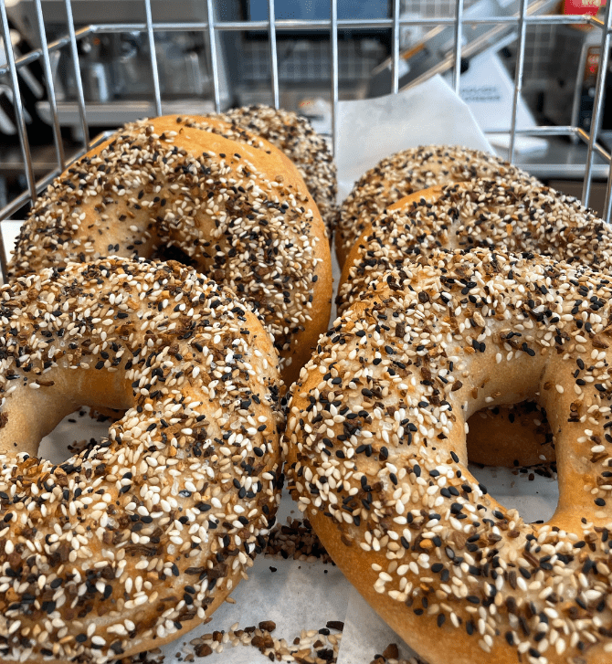 fresh bagels